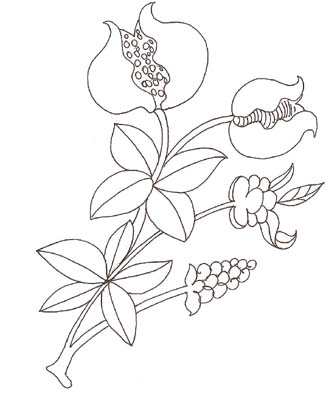 description